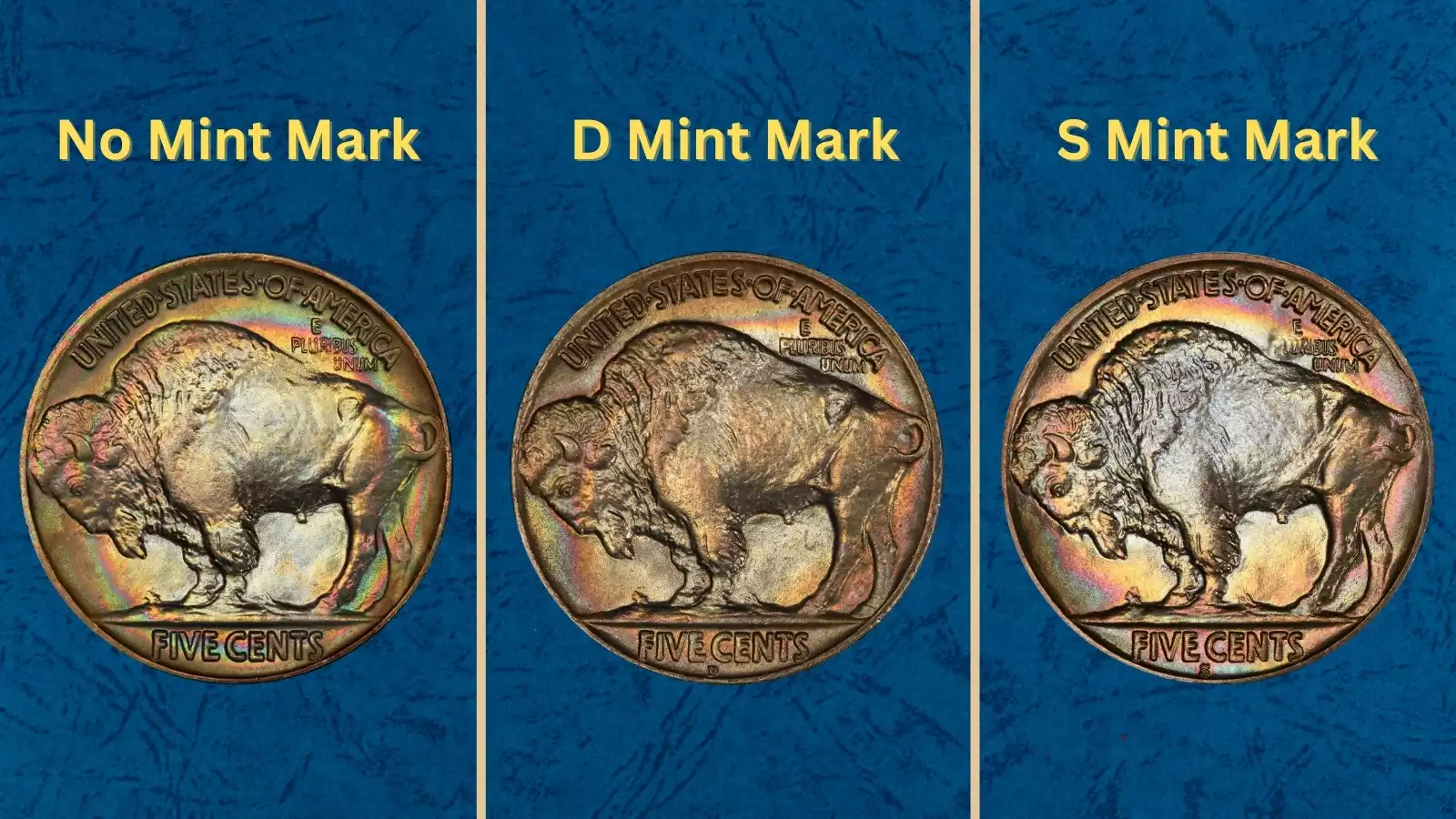 Three 1919 Buffalo Nickels showing Philadelphia, Denver, and San Francisco mint marks side by side
